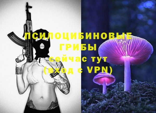метадон Богданович
