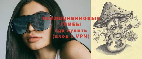 дурь Богородицк