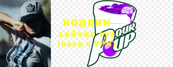 метадон Богданович