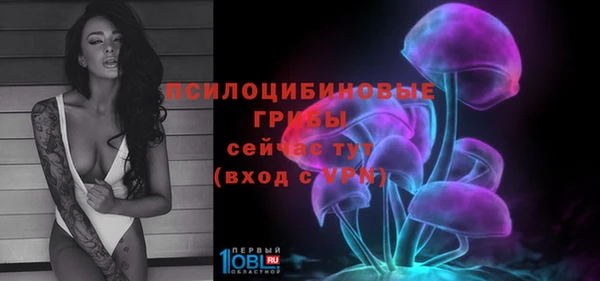 метадон Богданович