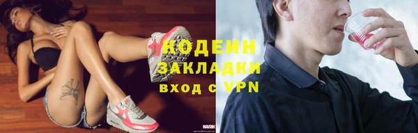 метадон Богданович
