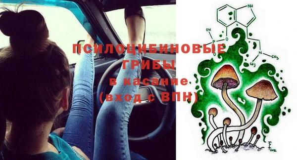 метадон Богданович