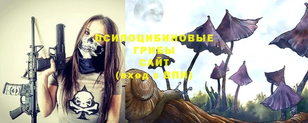 метадон Богданович