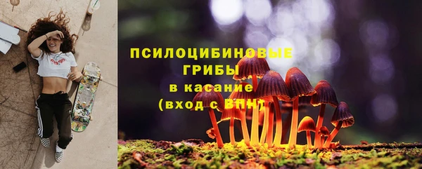 метадон Богданович