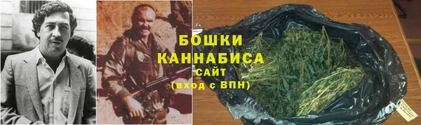 метадон Богданович