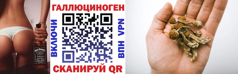 Галлюциногенные грибы Psilocybe Мезень