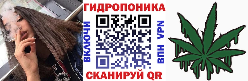Канабис планчик  МЕГА ТОР  Мезень 